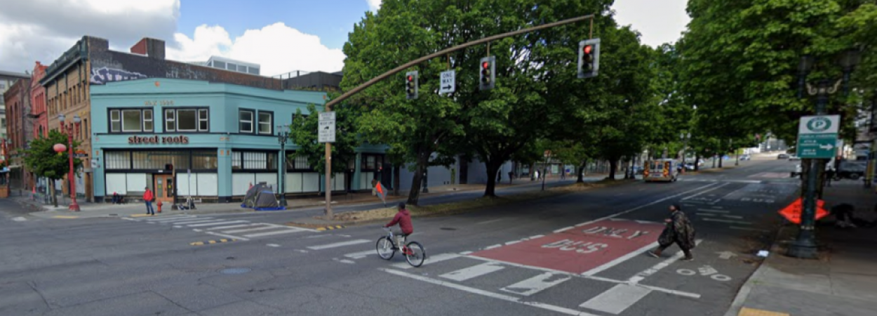 Google streetview of Burnside Street